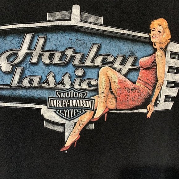 Harley Davidson T-Shirt Mens 2XL South Africa Cape Wineland Faded Tee - Picture 3 of 10